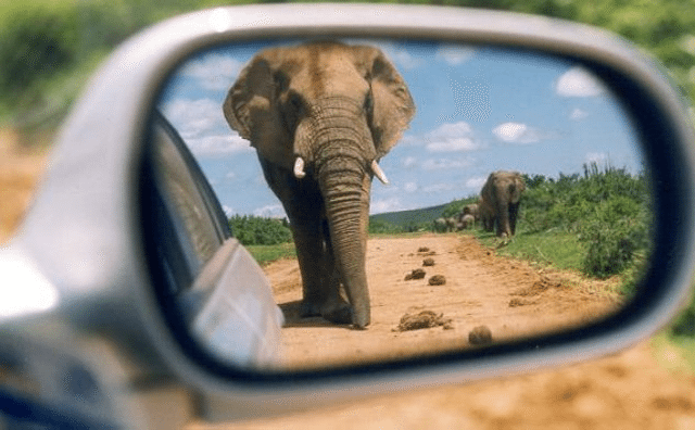 leadership-lessons-from-the-rear-view-mirror